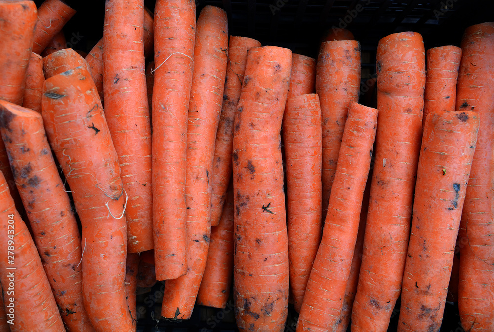 Fresh garden carrots for sale at farmers market. Background Fresh garden carrots for sale at farmers market. Background