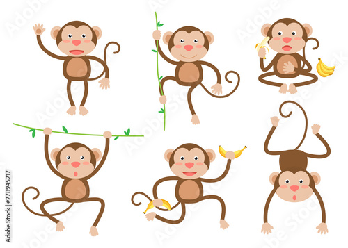 Cute little monkeys cartoon vector set in different poses - Vector illustration