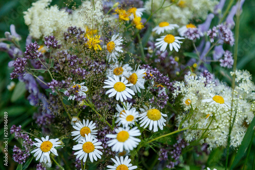 Beautiful bouquet of various wildflowers with soft shadows