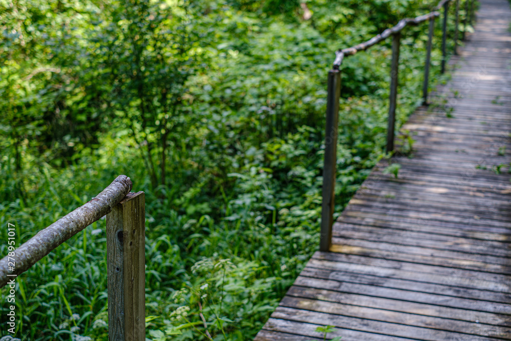 old wooden plank footbridge with stairs in forest old wooden plank footbridge with stairs in forest