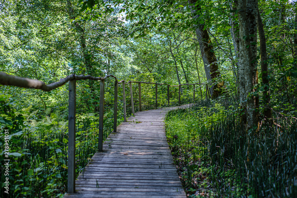 Obraz premium old wooden plank footbridge with stairs in forest