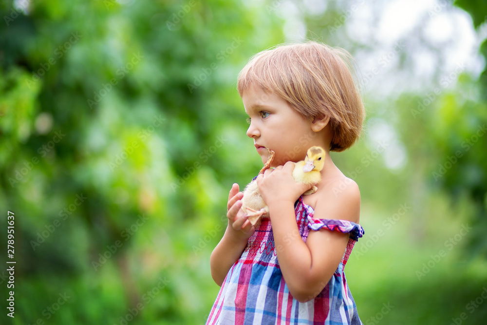 The little girl in a sundress costs in a grass in the village and embraces a little duckling with a heart on the head The little girl in a sundress costs in a grass in the village and embraces a little duckling with a heart on the head