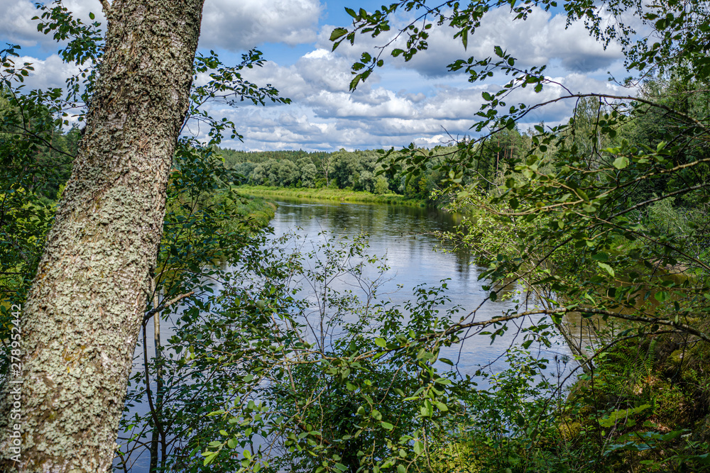 river Gauja in Latvia, view through the trees in summer