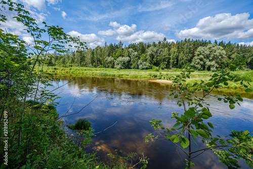 Fototapeta Naklejka Na Ścianę i Meble -  river Gauja in Latvia, view through the trees in summer