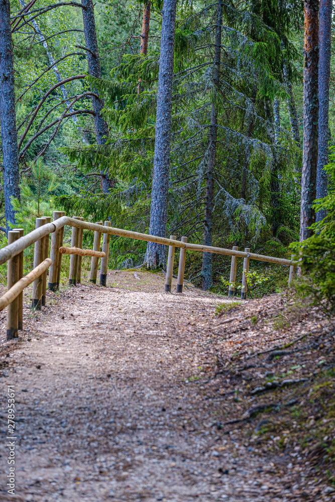 Obraz premium wooden fance in countryside nature trail