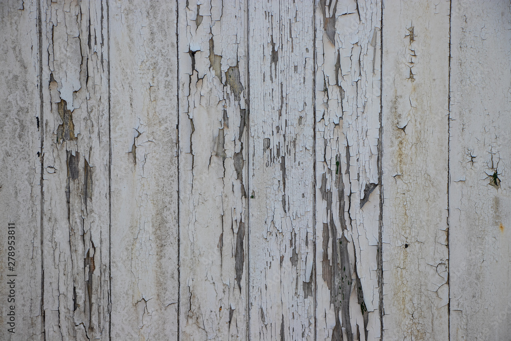 Fototapeta premium White grunge wood panel worn weathered distressed texture background