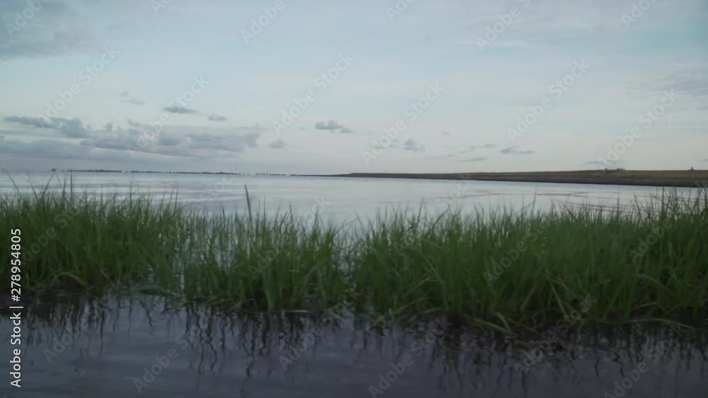 Grass floating on the salt water of the Westerschelde, Zeeland, Netherlands, shot in Full HD. Grass floating on the salt water of the Westerschelde, Zeeland, Netherlands, shot in Full HD.