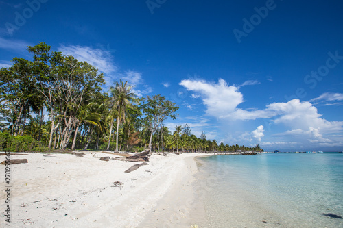 The beautiful beaches with white sand and its palm trees on Mantanani Island. Malaysia