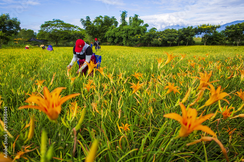 travel in Taiwan photo