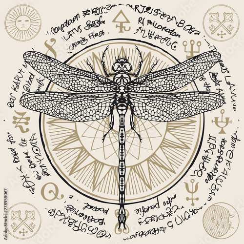 Illustration of a hand-drawn dragonfly on an old abstract illegible text written in a circle with magical inscriptions and symbols. Vector banner in retro style