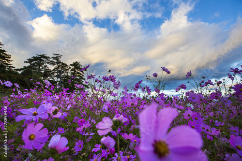 beauty of Taiwan photo