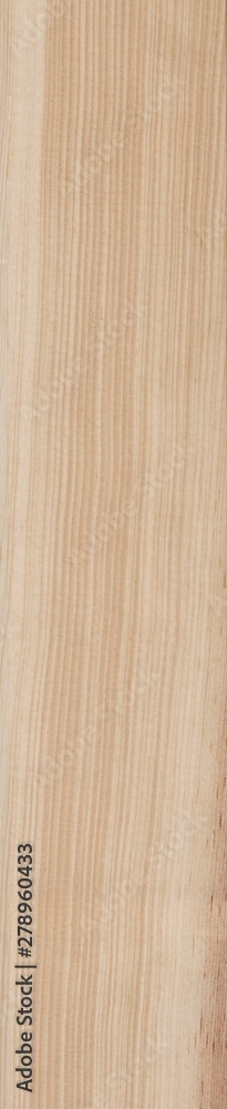 Wood Texture Background Wood Texture Background