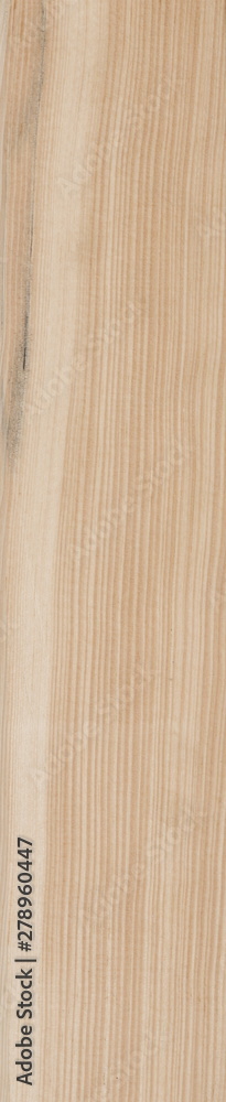 Wood Texture Background Wood Texture Background