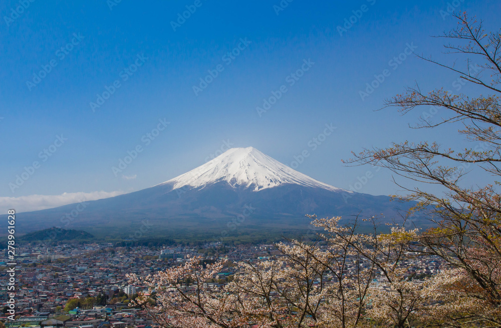 Fototapeta premium Mountain Fuji in spring