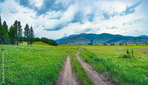 Alpine steppe in the background of snowy mountains