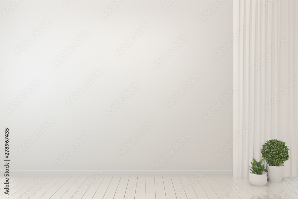 Empty Room Interior White Background and plants. 3d rendering Empty Room Interior White Background and plants. 3d rendering