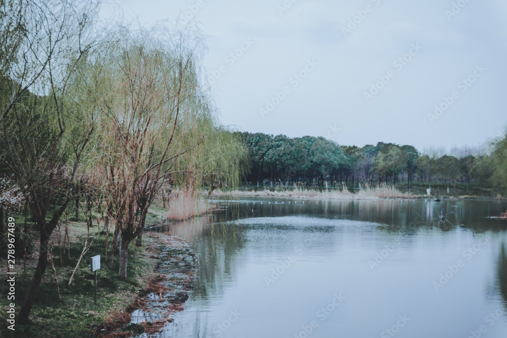 Fototapeta premium scenes of nature and flora from Gucun Park in Shanghai, China