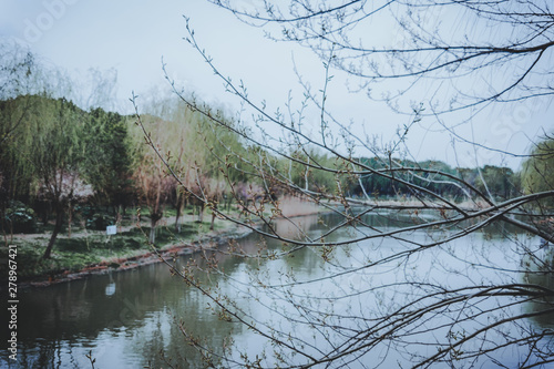 Photography scenes of nature and flora from Gucun Park in Shanghai, China