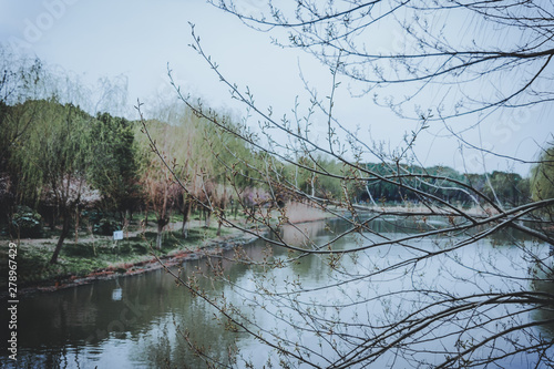 Photography scenes of nature and flora from Gucun Park in Shanghai, China