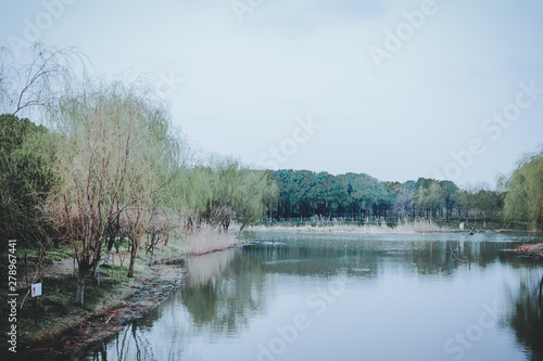Photography scenes of nature and flora from Gucun Park in Shanghai, China