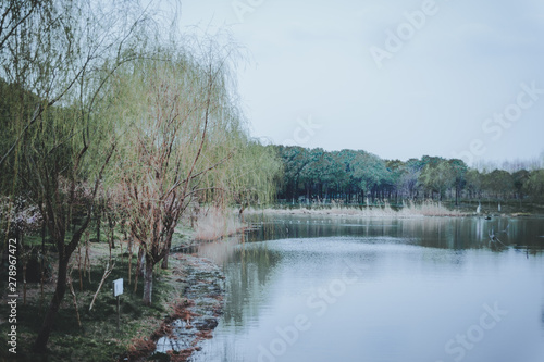 Photography scenes of nature and flora from Gucun Park in Shanghai, China
