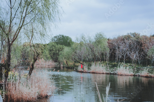 Canvas Print scenes of nature and flora from Gucun Park in Shanghai, China
