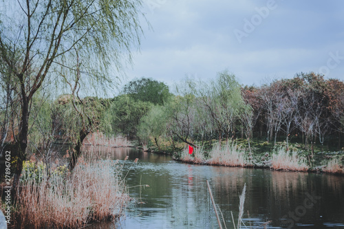 Photography scenes of nature and flora from Gucun Park in Shanghai, China