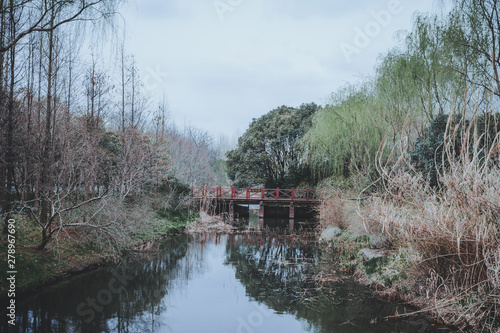 Photography scenes of nature and flora from Gucun Park in Shanghai, China