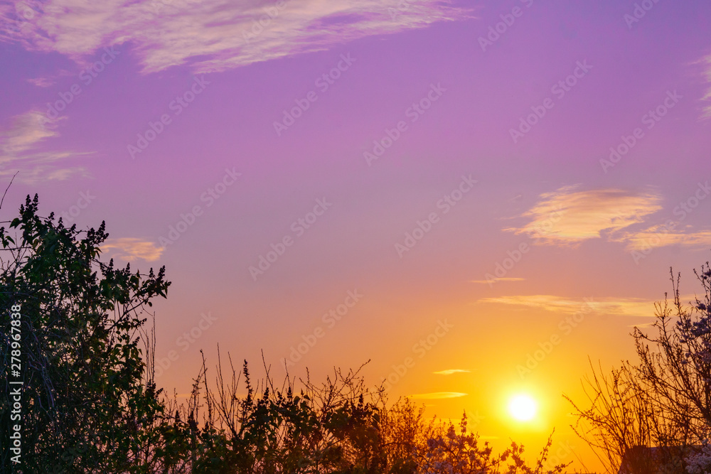beautiful sunset in the garden of the purple sky