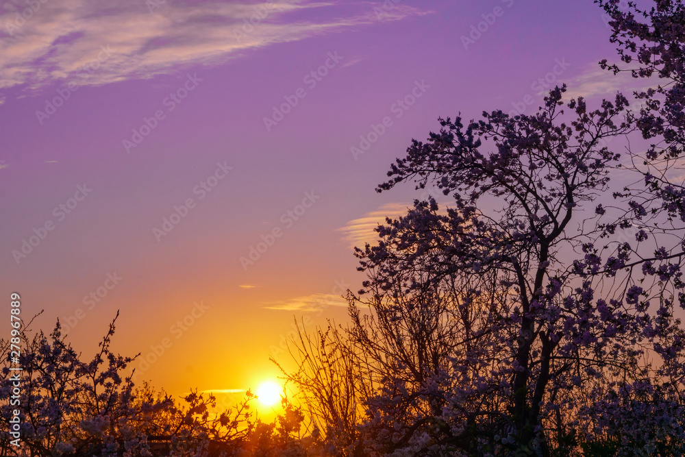 beautiful sunset in the garden of the purple sky beautiful sunset in the garden of the purple sky