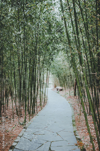 Photography scenes of nature and flora from Gucun Park in Shanghai, China