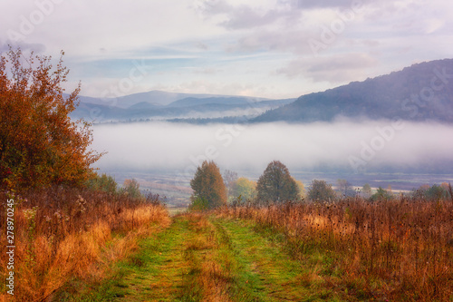 Amazing nature, scenic autumn landscape with misty mountains, colorful autumnal grass and trees and blue sky with clouds, foggy morning in the Carpathians © larauhryn
