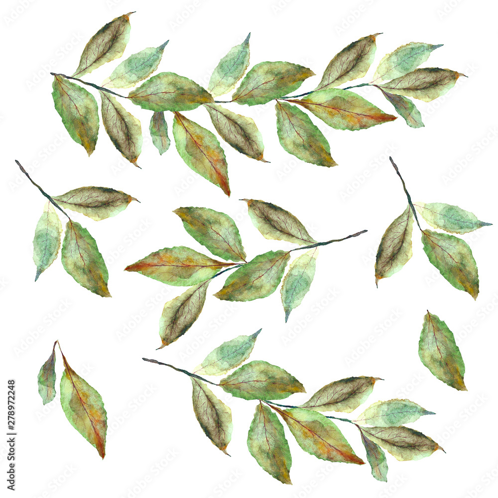 Zestaw jesiennych liści w technice akwarelowej - obrazy, fototapety, plakaty 