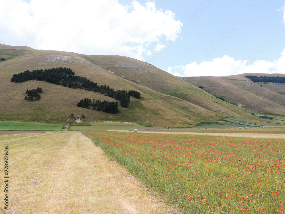 Landscape of the Plains of Castelluccio that are a karstic and alluvial plateau of the Umbro-Marchigiano Apennines (Italy). Castelluccio di Norcia is famous for the cultivation of lentils.