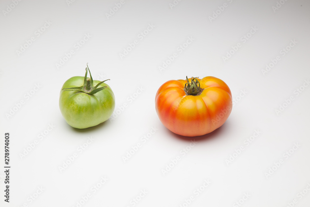 Foto de Proceso de maduración del tomate, se recoge verde de la planta