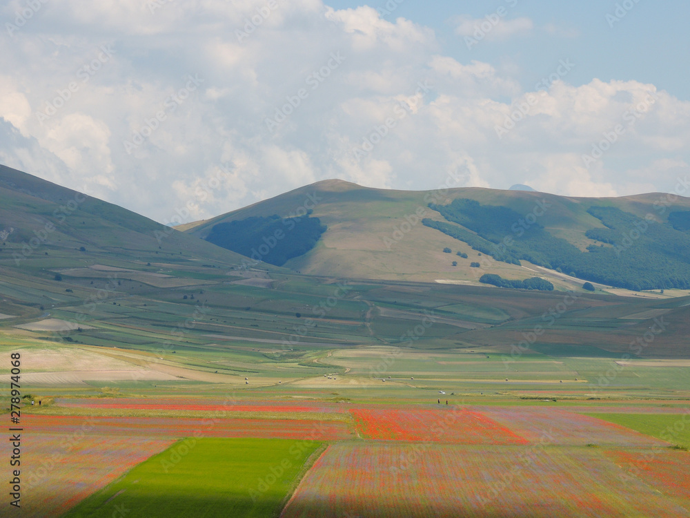 Fototapeta premium Landscape of the Plains of Castelluccio that are a karstic and alluvial plateau of the Umbro-Marchigiano Apennines (Italy). Castelluccio di Norcia is famous for the cultivation of lentils.