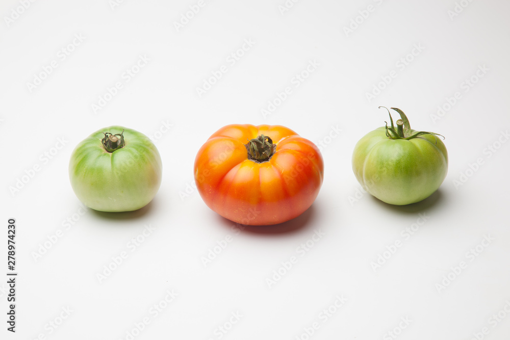 Proceso de maduración del tomate, se recoge verde de la planta y se deja madurar fuera, en neveras para que llegue y se mantenga fresco durante mucho tiempo Proceso de maduración del tomate, se recoge verde de la planta y se deja madurar fuera, en neveras para que llegue y se mantenga fresco durante mucho tiempo