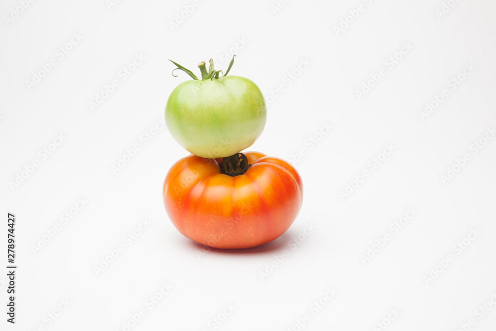 Proceso de maduración del tomate, se recoge verde de la planta y se