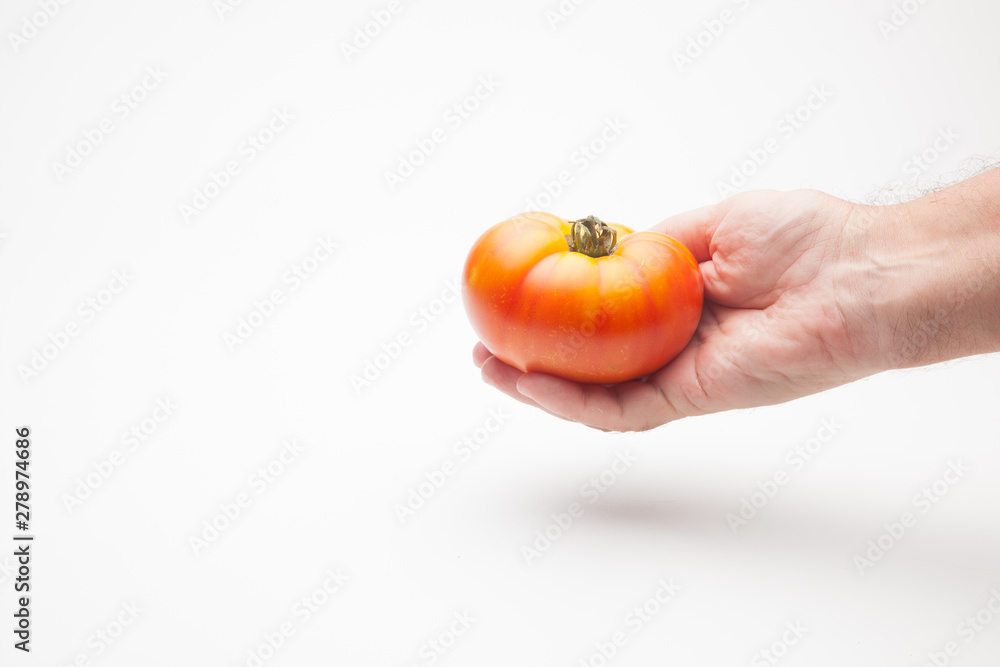 Tomate en la mano de una persona adulta. Tomate sobre fondo blanco y en la mano derecha de un ser humano. Tomate saludable, ecológico preparado para ser vendido o comido o cocinado. Tomate en la mano de una persona adulta. Tomate sobre fondo blanco y en la mano derecha de un ser humano. Tomate saludable, ecológico preparado para ser vendido o comido o cocinado.