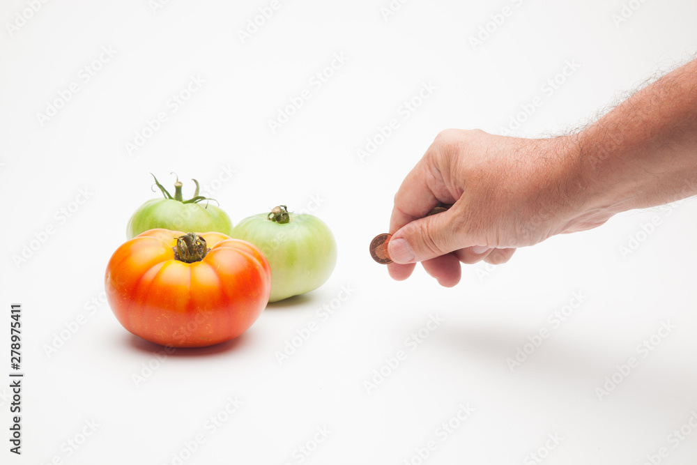 Dinero en la mano con el fondo de verdura y productos frescos, en este caso tomates. El precio de los productos, el precio de las cosechas. Dinero en la mano con el fondo de verdura y productos frescos, en este caso tomates. El precio de los productos, el precio de las cosechas.