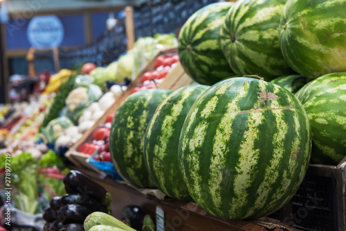 Ripe watermelons in farmer ...