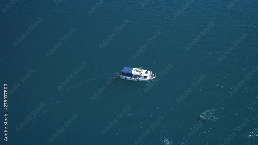 AERIAL: A flock of dolphins jumps out of the water next to the boat. Dolphins swim in front of the boat. Dolphins chasing the fish. Summer vacation by the sea AERIAL: A flock of dolphins jumps out of the water next to the boat. Dolphins swim in front of the boat. Dolphins chasing the fish. Summer vacation by the sea