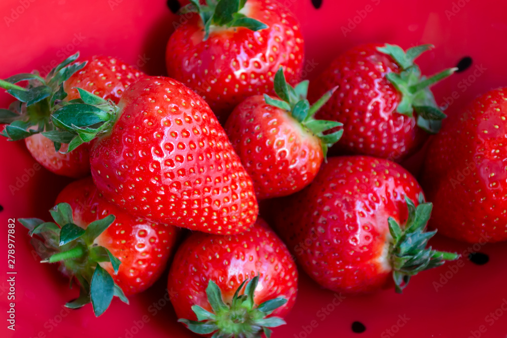 Fresh organic strawberries in red bowl background Fresh organic strawberries in red bowl background