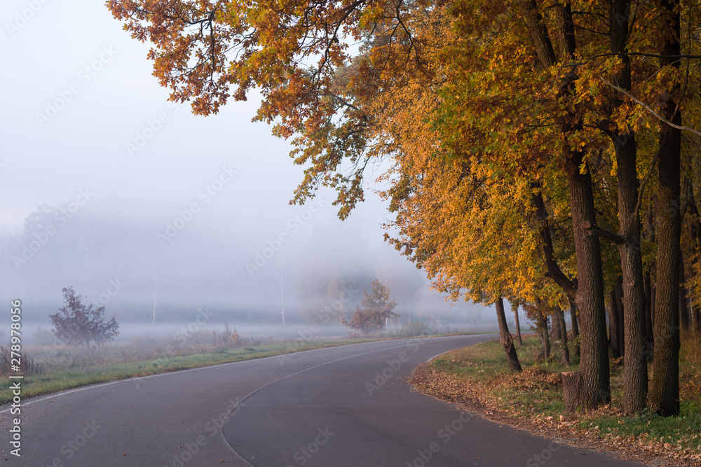 Road near the autumn trees. Misty autumn landscape. Selective focus.