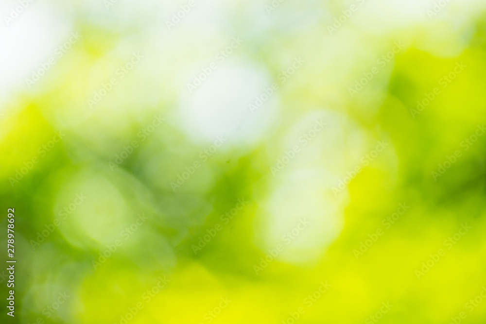  abstract blur green color for background,blurred and defocused effect spring concept for design