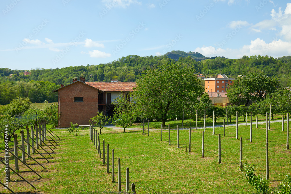 Green grass meadow and rural house in a sunny summer day, Italy