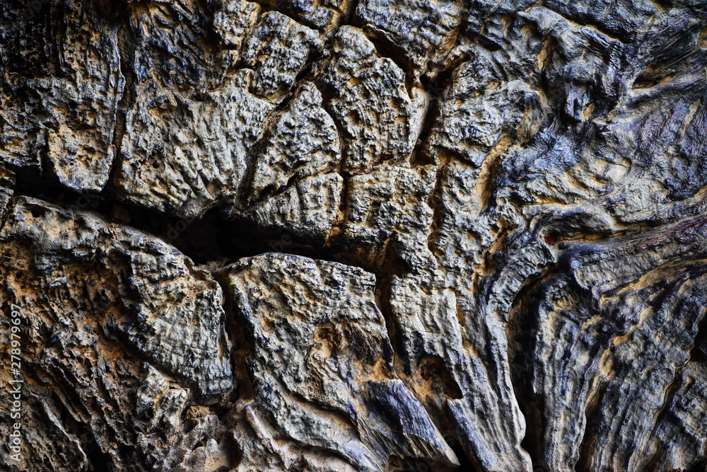 texture dark wood background surface abstract timber old texture dark wood background surface abstract timber old
