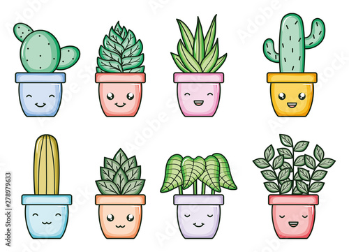 house plants and cactus kawaii comic characters photo
