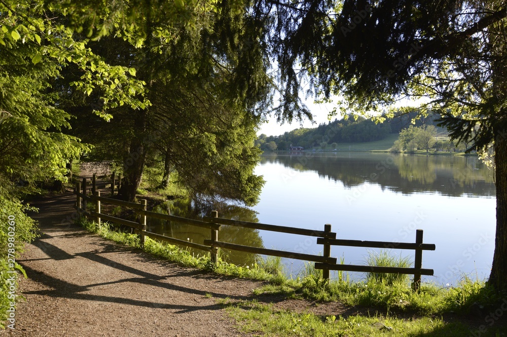 bench in the park