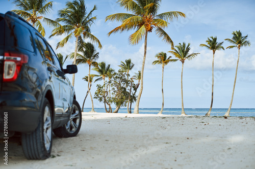 Fototapeta Naklejka Na Ścianę i Meble -  beach with palm trees